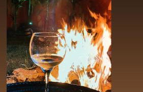 Casa de campo ninho verde - Foto 40