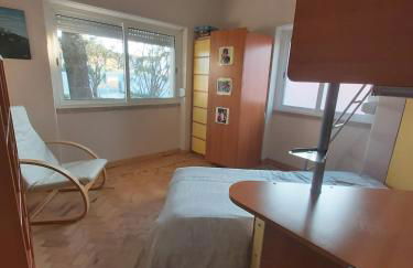 Casa dos Malmequeres - Photo 13