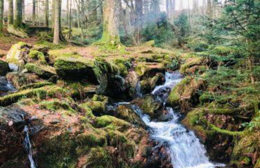 Longhouse - Hen Dy - Foto 18