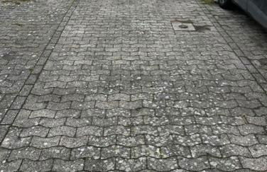 Nurdachhaus mit Blick ins Grüne- ruhige Lage nahe Yachthafen Fedderwardersiel - Foto 25