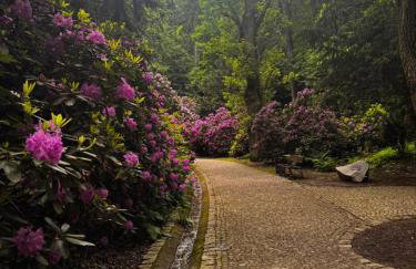 Apartament Chełmiec przy Szczawnie-Zdrój - Foto 21