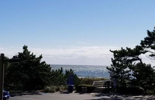 Seasons In The Sun - Foto 17