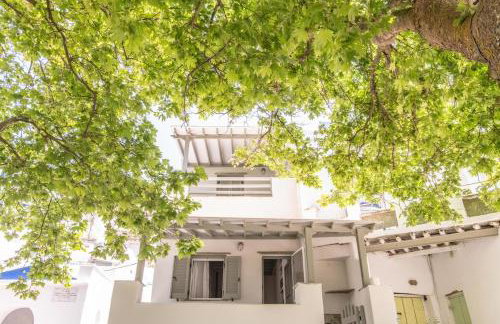 Apopsis Tinos Square - Foto 26