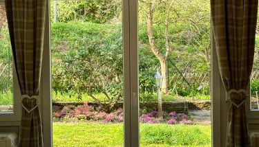 FeWo am Kurpark - Foto 3