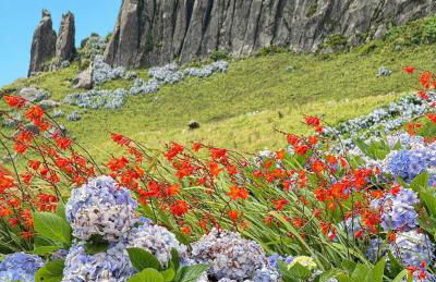 Casa do Stefan - Foto 23