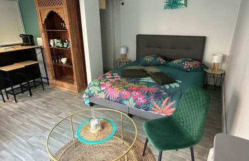 Studio indépendant avec jardin - Foto 1