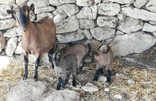 Le Grotte di Sileno - Foto 45