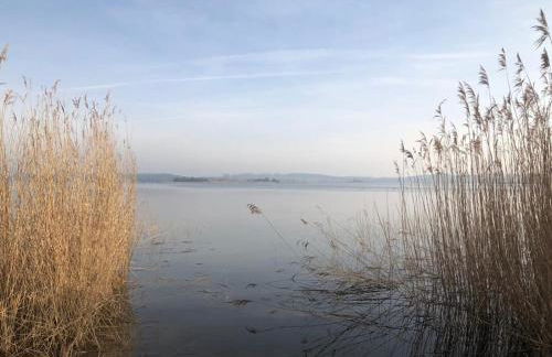 Ferienwohnung Seeblick - Insel Usedom - Foto 26