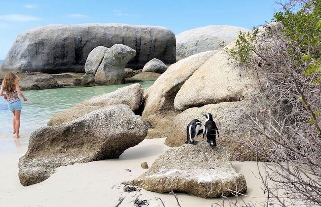 Hout Bay Beach Cottage - Photo 35