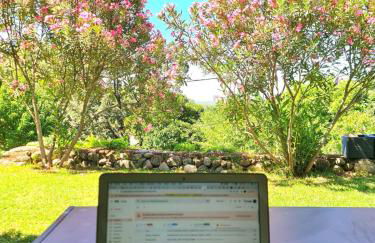 Casa Rural en Candeleda con piscina y un maravilloso jardín - Foto 17