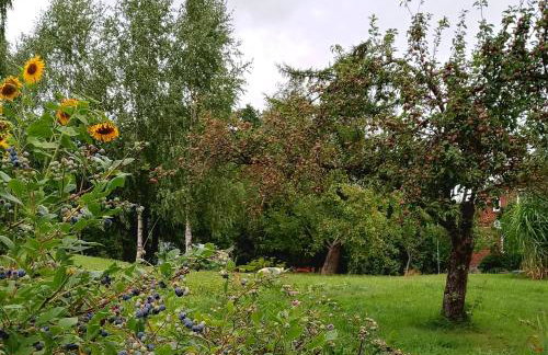 Agroturystyka Pod Dębem - Foto 15