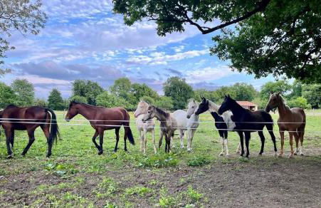 Bus insolite - Foto 7