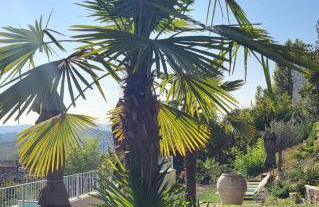 Casa Ginia Großes Haus - Foto 15