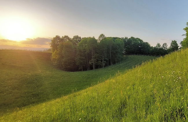 AGRITURISMO L'EREMO - Photo 41