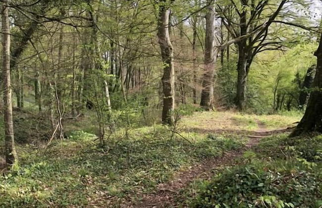 Nore View House - Photo 28