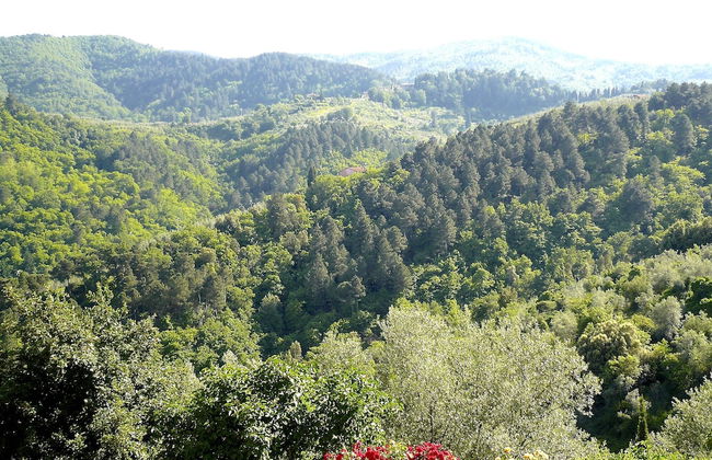 Ventena Vecchia Antico Frantoio - Photo 62