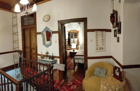 ΑΡΧΟΝΤΙΚΟ ΑΡΤΕΜΙΣ-Villa Artemis since 1871 - Foto 29