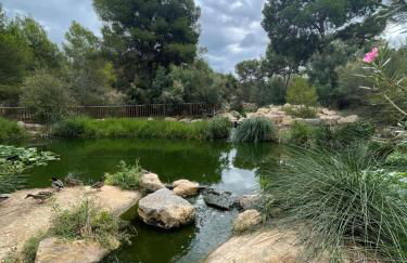 Casa Amarela Guesthouse, Algorfa - Foto 58