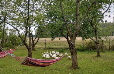 Siedlisko Jelonki - Foto 56