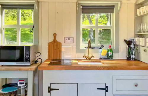 Bryn Gwyn - Ukc7801 - Foto 3