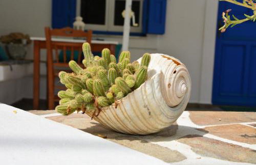 Maganas Hotel - Foto 47