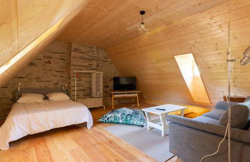 Maison rénovée 12 pers proche Loudenvielle avec Wifi et animaux admis - FR-1-695-56 - Foto 11