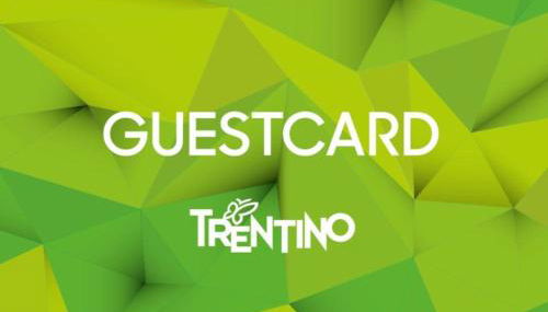 Mine House Hill- 2 PRIVAT PARKING! - Foto 3