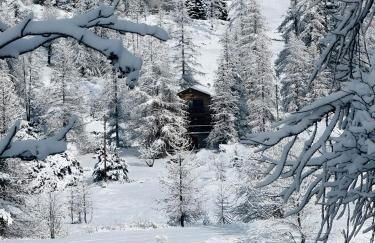 Gite T3 Le Balarino - Mercantour 1 - Foto 32