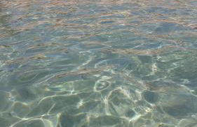 STELLA BEACH HOUSE AT FREE BEACH RESIDENCE - Foto 45