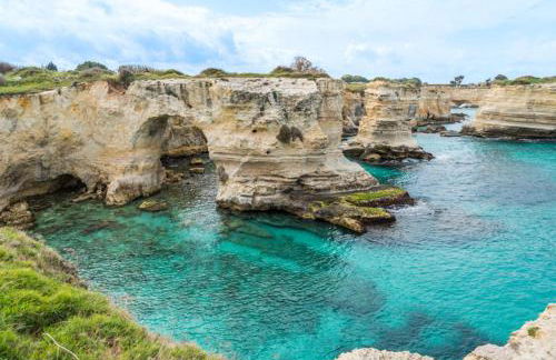 LaChorisia - Foto 42