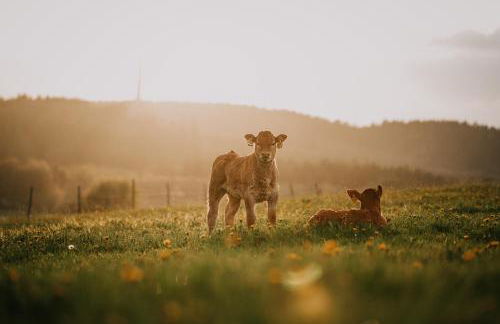 Soonwald Haus I Hot Tube I Whirlpool I Kamin - Foto 61