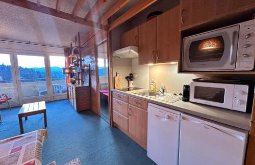 Appartement 2 pièces au pied des pistes de ski avec balcon et parking - FR-1-515-31 - Foto 7