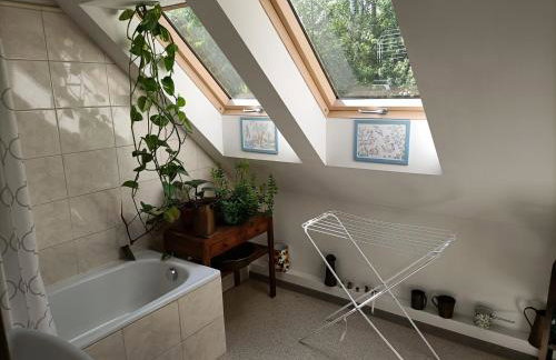 Kalinówka - apartament w domu nad Narwią - Foto 7