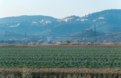 Agriturismo Il Cuscino Nel Pagliaio - Foto 9