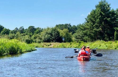 Uroczysko Lubiaszów - Foto 17