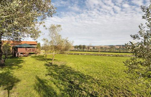 Casa da Lagoa Pateira - Foto 23