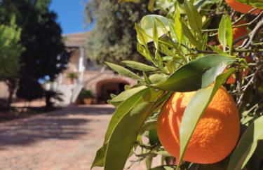 Casa Maleda - Foto 21