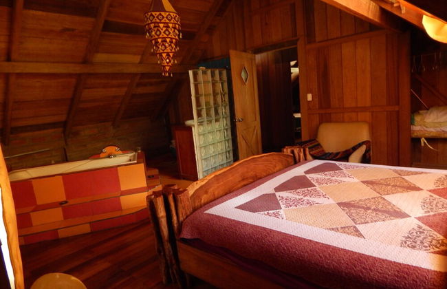 Dogs and Fish Dream Land - Foto 3