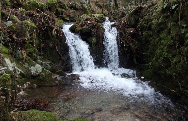 Quinta dos Caibrais - Photo 25
