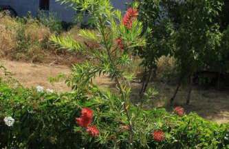 Apartments by the sea Kraj - Pasman - 8247 - Photo 11