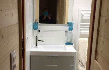 Le petit Saint Bernard - Photo 18