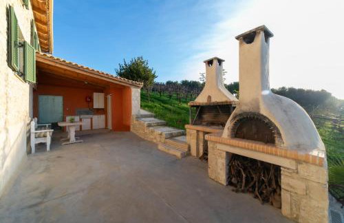 Villa Vitsilias under the cretan sky - Photo 21