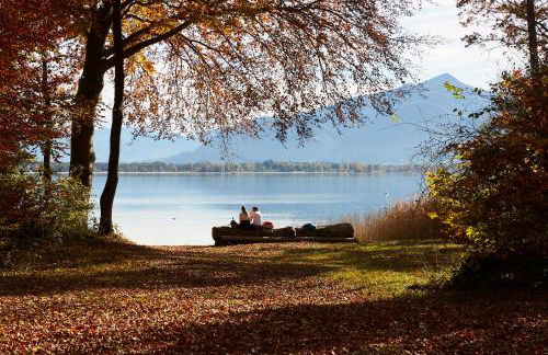 Chiemsee Cottage - Foto 28