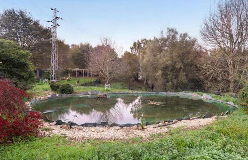 Quinta de San Antonio - Foto 34