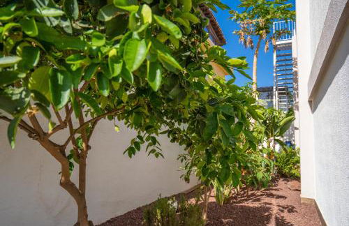 Villa La Laja with 5 bedrooms and sea view - Foto 50