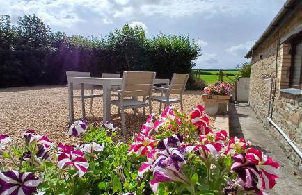 Hazel Cottage, Frithelstock - Foto 8