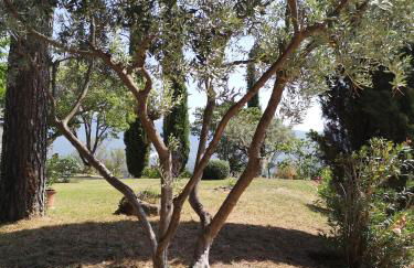 La Bastide du Limon - Foto 10