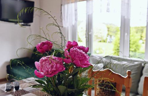 Wczasy u Gospodarza na Kaszubach - Foto 7