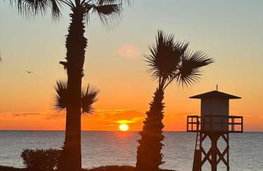 Wild Palms Apartment - Foto 12