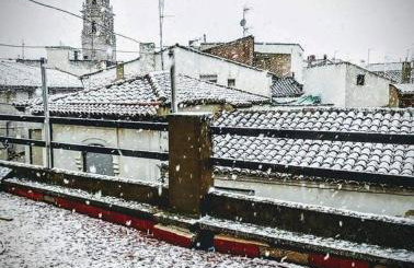 Manzaneque Rural House - Foto 12